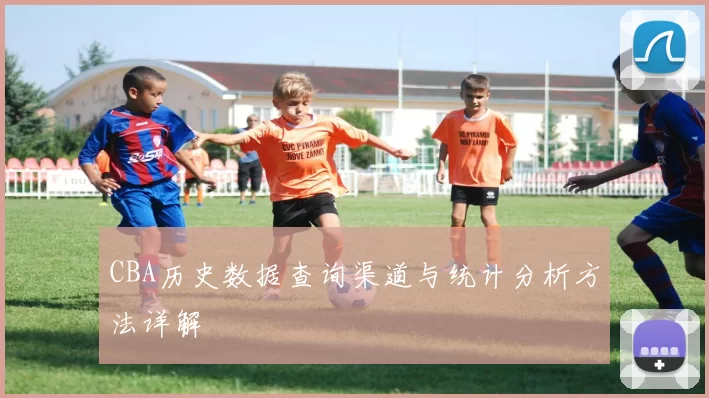 CBA历史数据查询渠道与统计分析方法详解