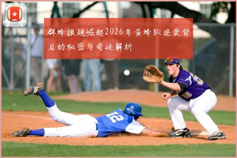 群蜂振翅崛起2026年黄蜂队逆袭背后的秘密与奇迹解析