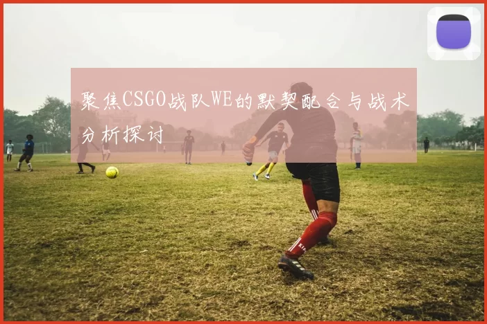 聚焦CSGO战队WE的默契配合与战术分析探讨