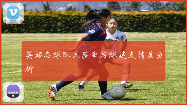 英超各球队入座率与球迷支持度分析