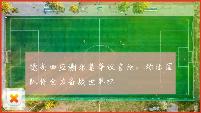 德尚回应谢尔基争议言论，称法国队将全力备战世界杯