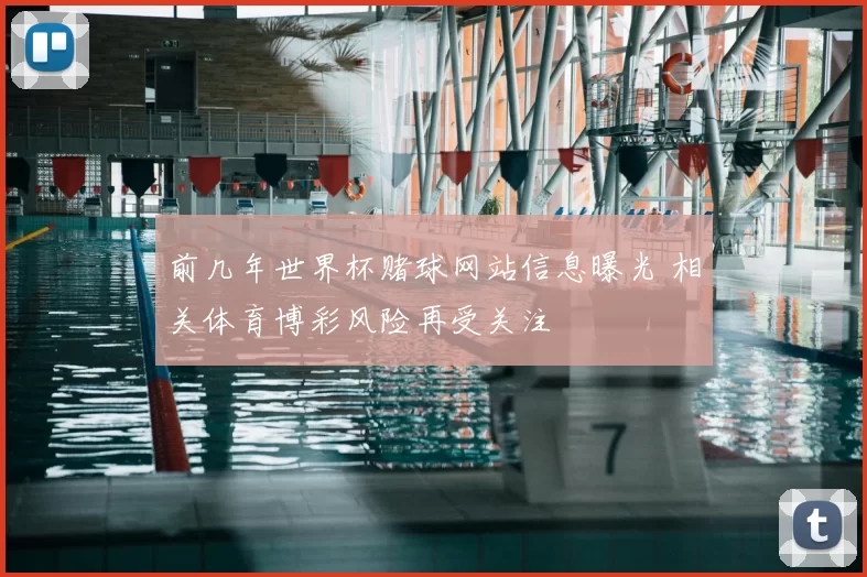 前几年世界杯赌球网站信息曝光 相关体育博彩风险再受关注