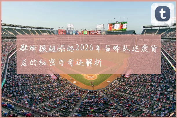 群蜂振翅崛起2026年黄蜂队逆袭背后的秘密与奇迹解析