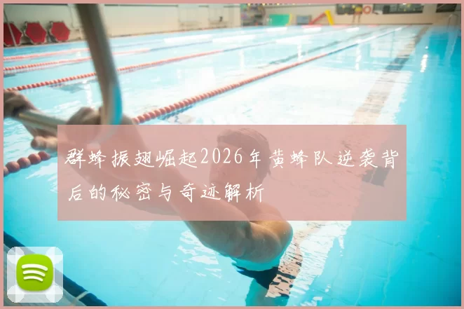 群蜂振翅崛起2026年黄蜂队逆袭背后的秘密与奇迹解析