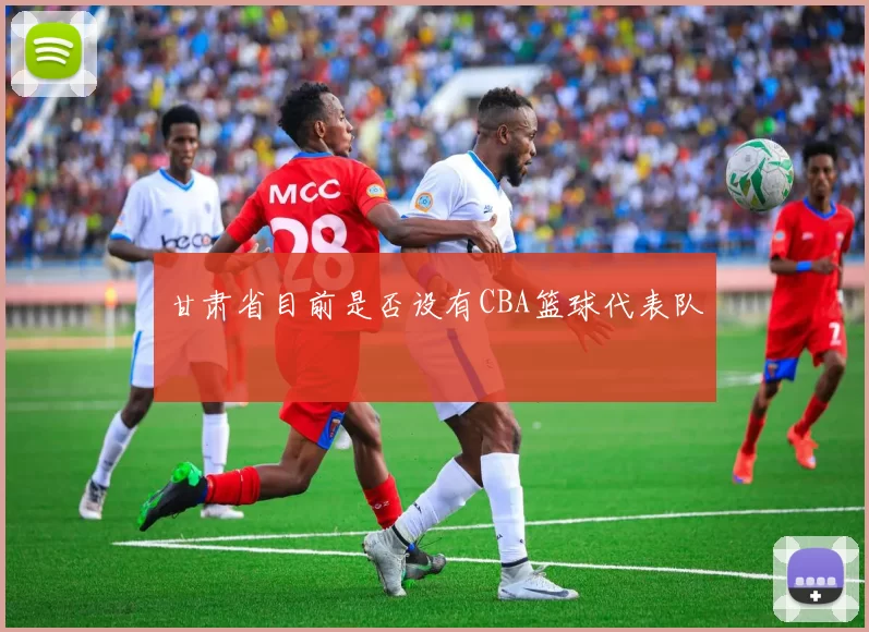 甘肃省目前是否设有CBA篮球代表队