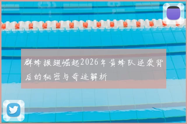 群蜂振翅崛起2026年黄蜂队逆袭背后的秘密与奇迹解析