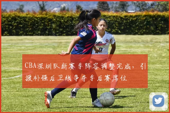 CBA深圳队新赛季阵容调整完成,引援补强后卫线争夺季后赛席位