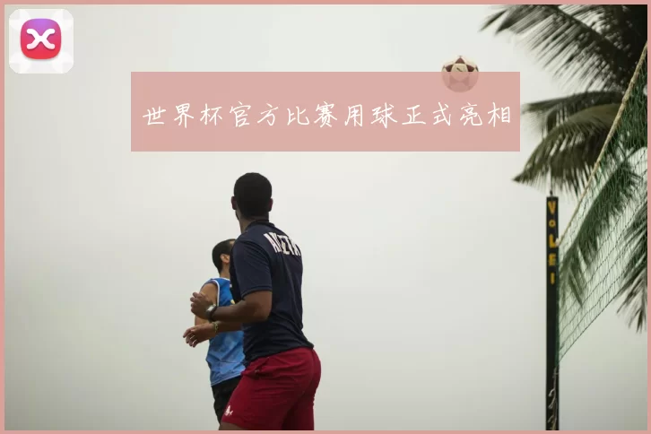 世界杯官方比赛用球正式亮相