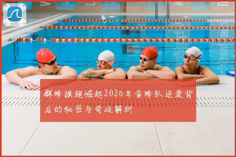 群蜂振翅崛起2026年黄蜂队逆袭背后的秘密与奇迹解析