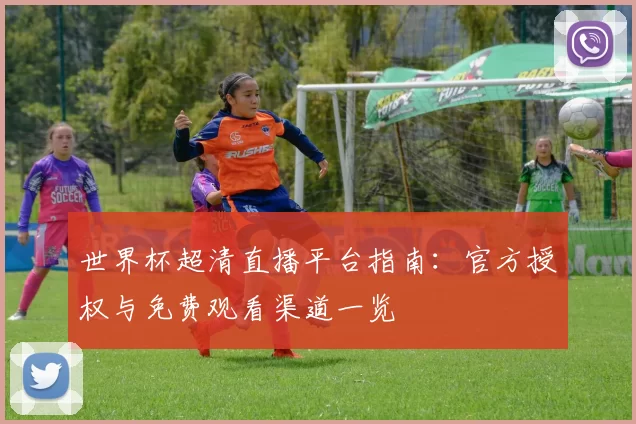 世界杯超清直播平台指南:官方授权与免费观看渠道一览