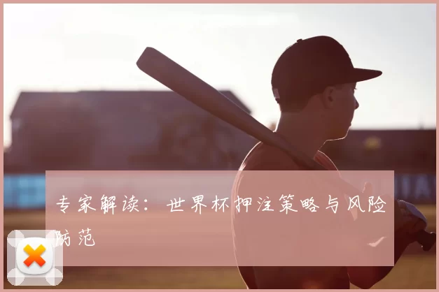 专家解读：世界杯押注策略与风险防范