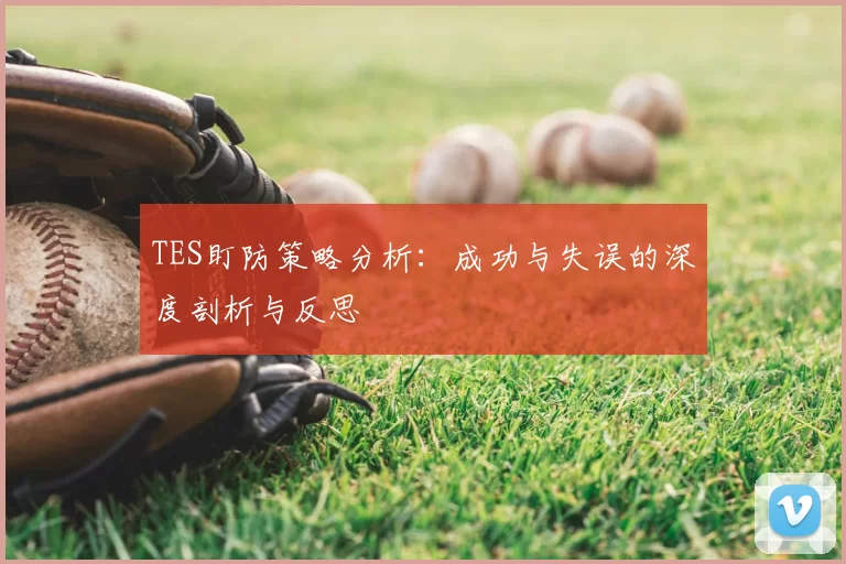 TES盯防策略分析：成功与失误的深度剖析与反思