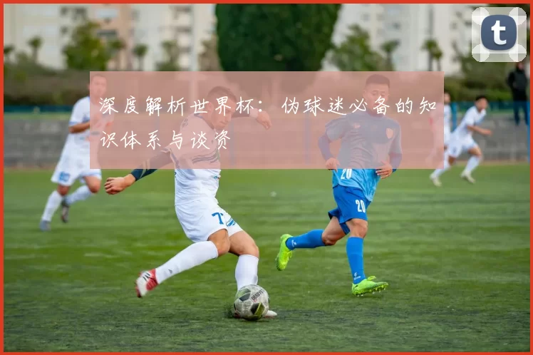 深度解析世界杯：伪球迷必备的知识体系与谈资