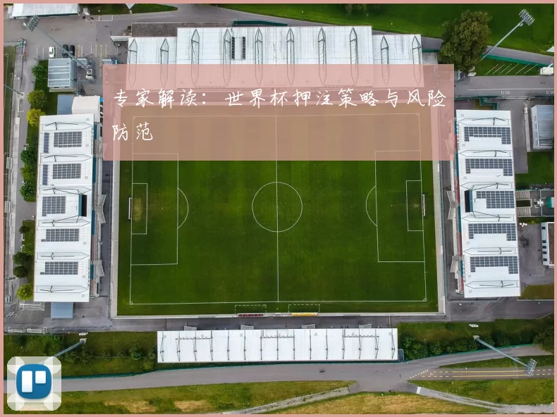 专家解读:世界杯押注策略与风险防范
