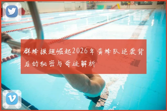 群蜂振翅崛起2026年黄蜂队逆袭背后的秘密与奇迹解析