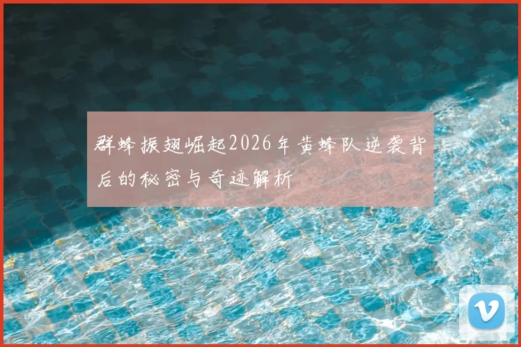 群蜂振翅崛起2026年黄蜂队逆袭背后的秘密与奇迹解析