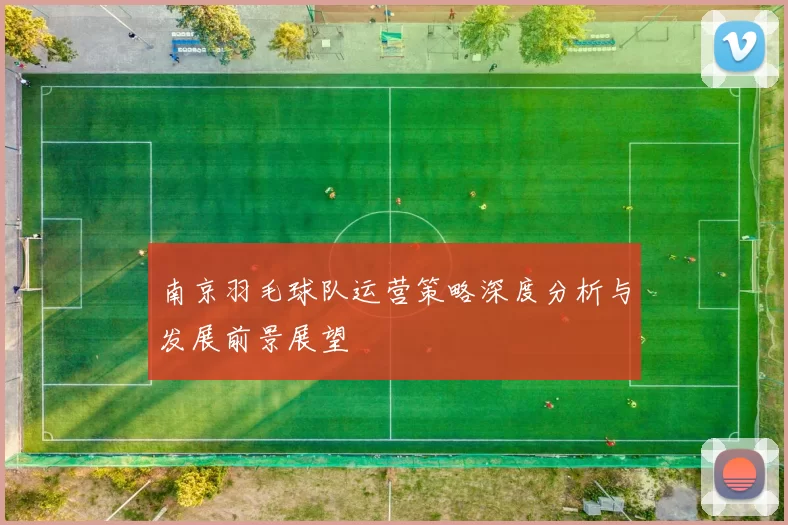 南京羽毛球队运营策略深度分析与发展前景展望