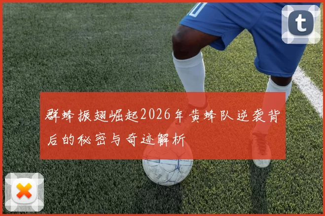 群蜂振翅崛起2026年黄蜂队逆袭背后的秘密与奇迹解析