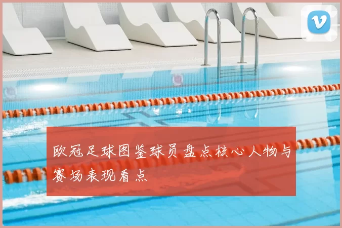 欧冠足球图鉴球员盘点核心人物与赛场表现看点