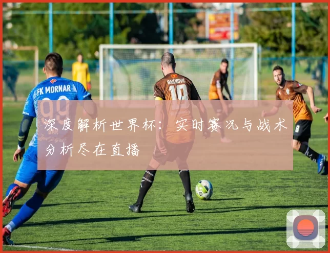 深度解析世界杯：实时赛况与战术分析尽在直播