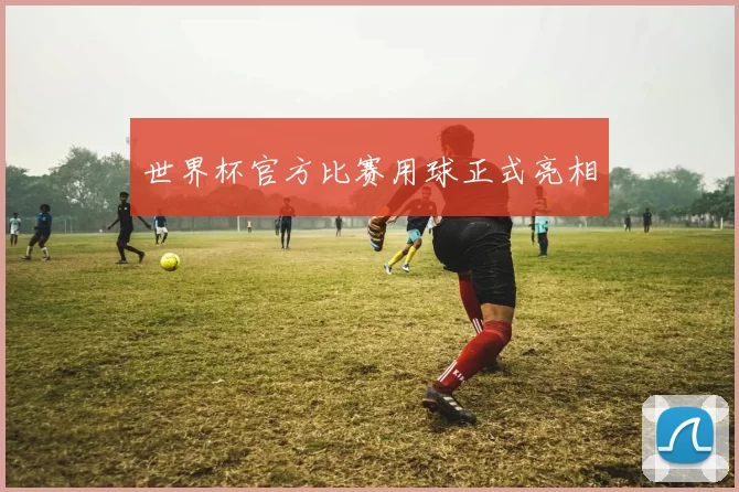 世界杯官方比赛用球正式亮相