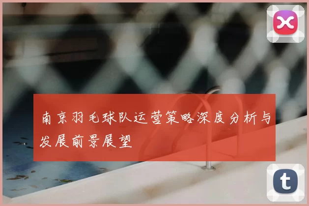 南京羽毛球队运营策略深度分析与发展前景展望