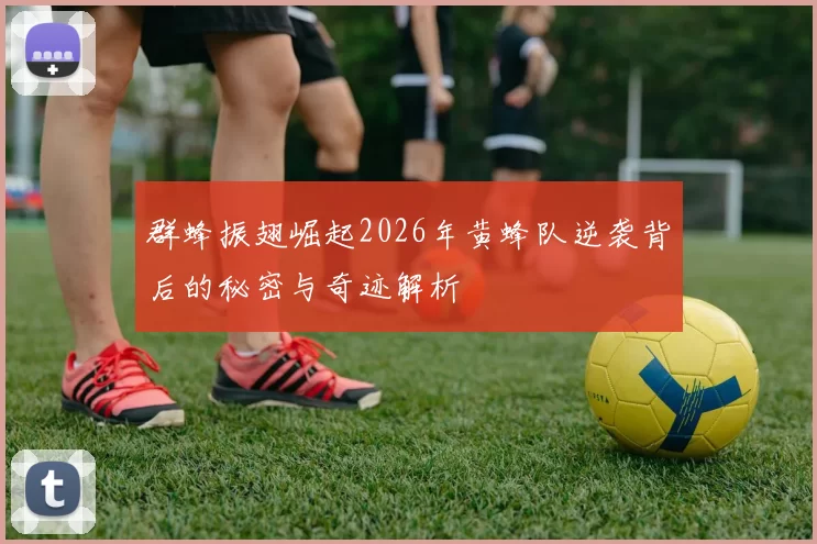 群蜂振翅崛起2026年黄蜂队逆袭背后的秘密与奇迹解析