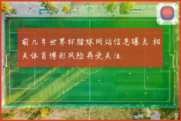 前几年世界杯赌球网站信息曝光 相关体育博彩风险再受关注