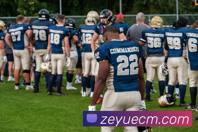 爱游戏官网APP 封面图