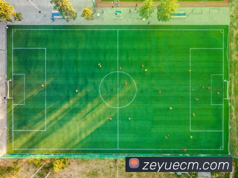 数据防护可视化